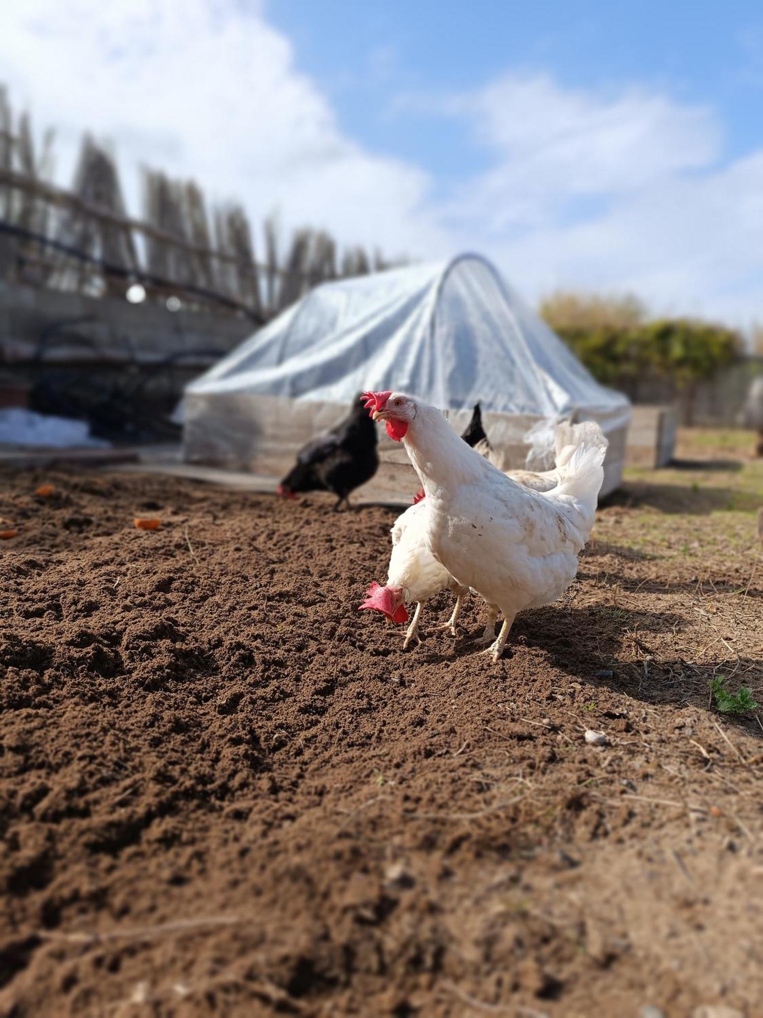 Il Sentiero B&Bio SantʼAntìoco Dış mekan fotoğraf